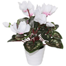 Cyclamen in White Pot - 30Cm Faux Plant at online8 furniture store Auckland