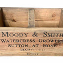 Darcie Shaw / Moody Smith Oblong Basket at online8 furniture store Auckland