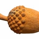Decorative Acorn Small at online8 furniture store Auckland