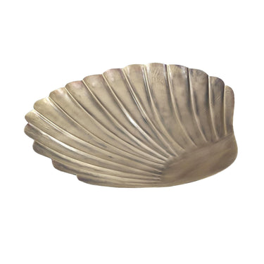Decorative Shell Tray - Large at online8 furniture store Auckland