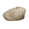 Decorative Shell Tray - Medium at online8 furniture store Auckland