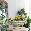 Decorative Vase at online8 furniture store Auckland