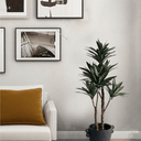 Dracaena Potted - 91cm Faux Plant at online8 furniture store Auckland