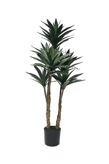 Dracaena Potted - 91cm Faux Plant at online8 furniture store Auckland