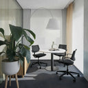 Dream Office Chair at Online8 Furniture Auckland NZ