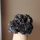 Dried-Look Hydrangea Blue at online8 furniture store Auckland