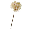 Dried-Look Hydrangea Cream at online8 furniture store Auckland