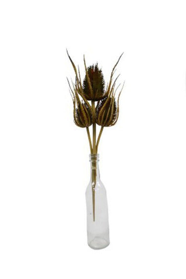Dried Thistle x3 Bundle at online8 furniture store Auckland