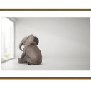Elephant Day Dreams Print in Glass at online8 furniture store Auckland