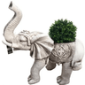 Elephant Planter  - Outdoor at online8 furniture store Auckland