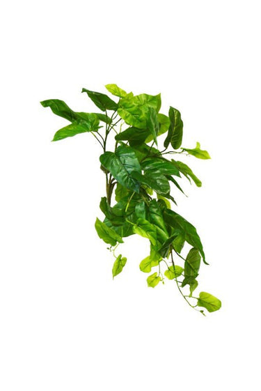 Emerald Philo Hanging Bush at online8 furniture store Auckland