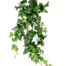 English Ivy Faux Bush at online8 furniture store Auckland