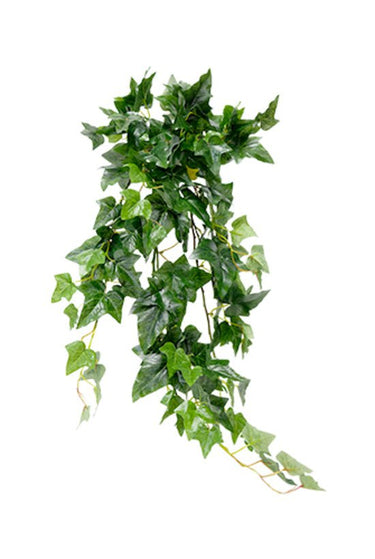 English Ivy Faux Bush at online8 furniture store Auckland