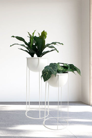 Ezra Planters on Stands Set/2 White at online8 furniture store Auckland
