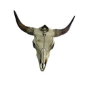 Faux Skull Wall Decor at online8 furniture store Auckland