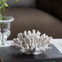 Faux Coral at online8 furniture store Auckland
