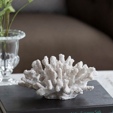 Faux Coral at online8 furniture store Auckland