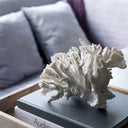 Faux Coral at online8 furniture store Auckland