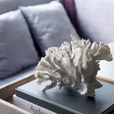 Faux Coral at online8 furniture store Auckland