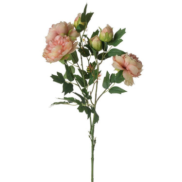 Faux Peony Stem at online8 furniture store Auckland