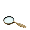 Feather Magnifying Glass at online8 furniture store Auckland