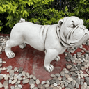 Fibre Clay Dog Statue at online8 furniture store Auckland