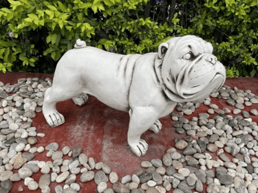 Fibre Clay Dog Statue at online8 furniture store Auckland