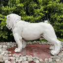 Fibre Clay Dog Statue at online8 furniture store Auckland