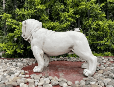 Fibre Clay Dog Statue at online8 furniture store Auckland