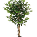 Ficus Tree Potted 120cm at Online8 Furniture Auckland NZ