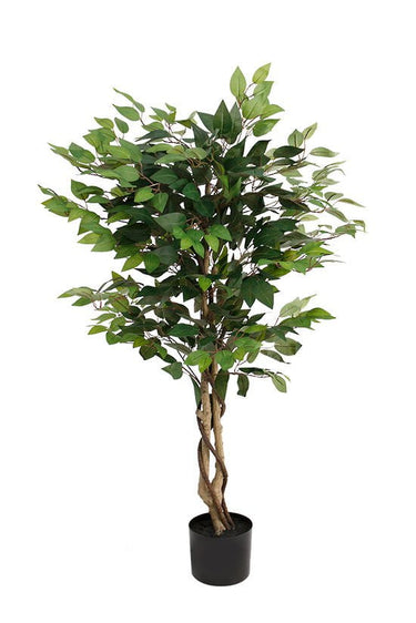 Ficus Tree Potted 120cm at online8 furniture store Auckland