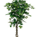 Ficus Tree Potted 180cm at online8 furniture store Auckland