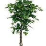 Ficus Tree Potted 180cm at online8 furniture store Auckland