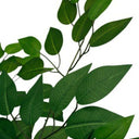 Ficus Tree Potted 180cm at online8 furniture store Auckland