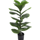 Fiddle Leaf Plant Potted - 71cm Faux Plant at online8 furniture store Auckland