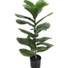 Fiddle Leaf Plant Potted - 71cm Faux Plant at online8 furniture store Auckland