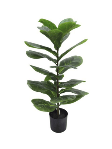 Fiddle Leaf Plant Potted - 71cm Faux Plant at online8 furniture store Auckland