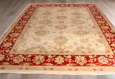 Fine Hand Knotted Afghan Ziegler Rug - 310x250cm at online8 furniture store Auckland