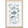 Fishes Textured Print at online8 furniture store Auckland