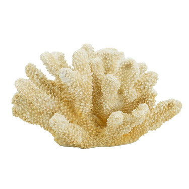 Fox Coral - Natural at online8 furniture store Auckland
