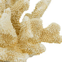 Fox Coral - Natural at online8 furniture store Auckland