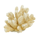 Fox Coral - Natural at online8 furniture store Auckland