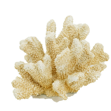 Fox Coral - Natural at online8 furniture store Auckland