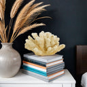 Fox Coral - Natural at online8 furniture store Auckland