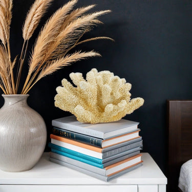 Fox Coral - Natural at online8 furniture store Auckland