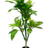 Frangipani Tree Potted 150cm at online8 furniture store Auckland