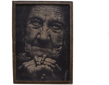 Gaze of an Elder wall Art at online8 furniture store Auckland