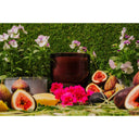 Gemini said AB Core Candle 400g | Yosemite - Cedarwood & Wildflower at Online8 Furniture Auckland NZ