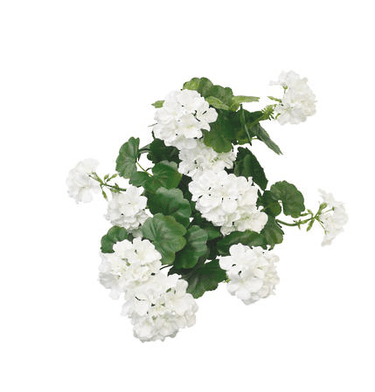 Geranium Faux Bush White at Online8 Furniture Auckland NZ