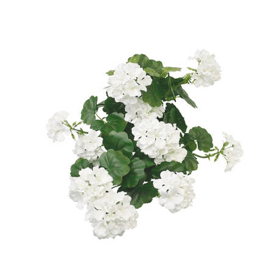 Geranium Faux Bush White at online8 furniture store Auckland